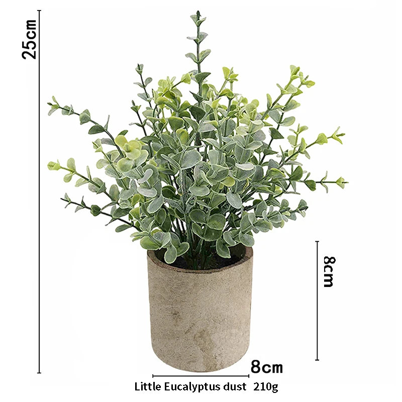 Eucalyptus Mini Planter
