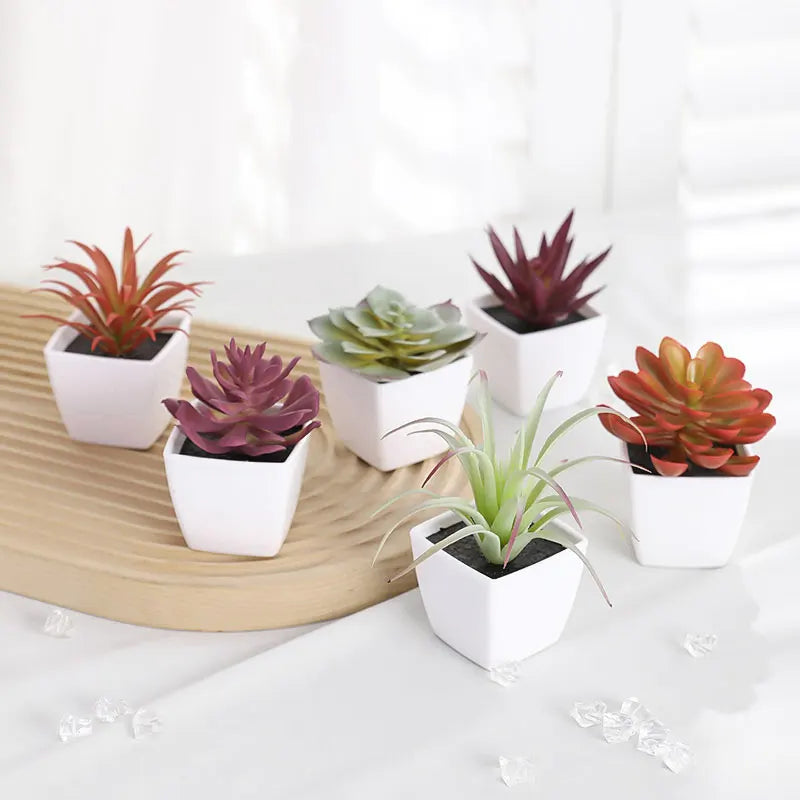 Set of 6 Mini Faux Succulents with Pots