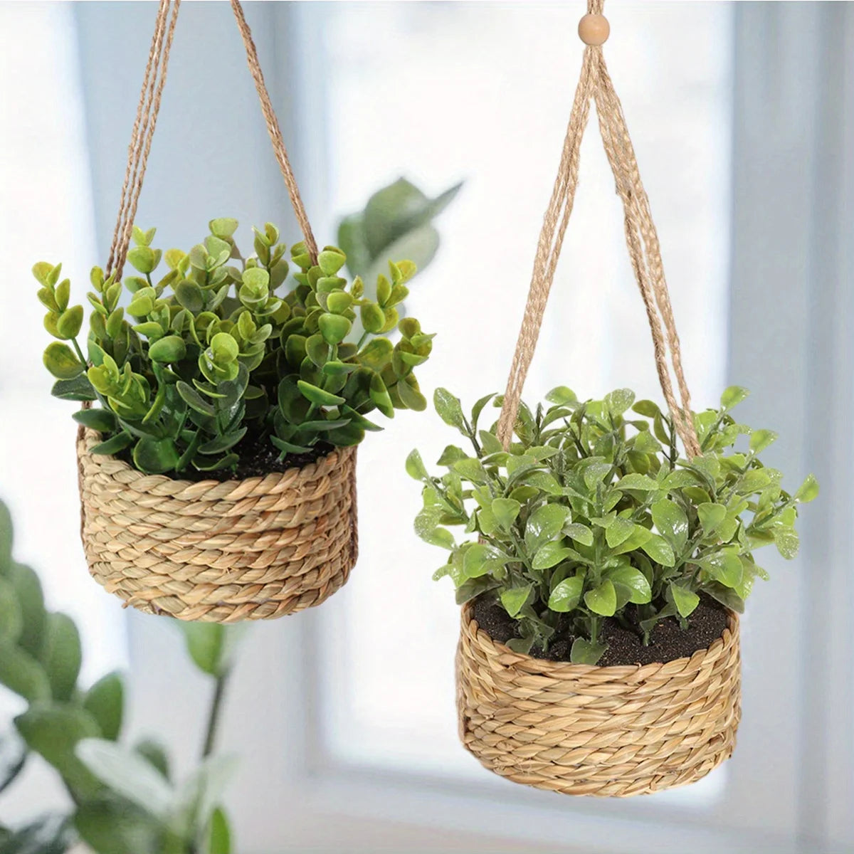 Woven Rosemary and Grass Potted Arrangement