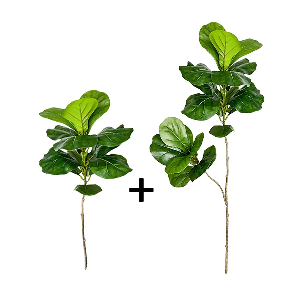Decorative Ficus Tree