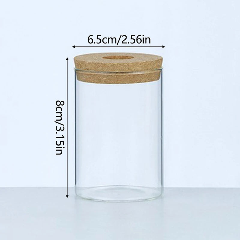 Sleek Transparent Plant Vase