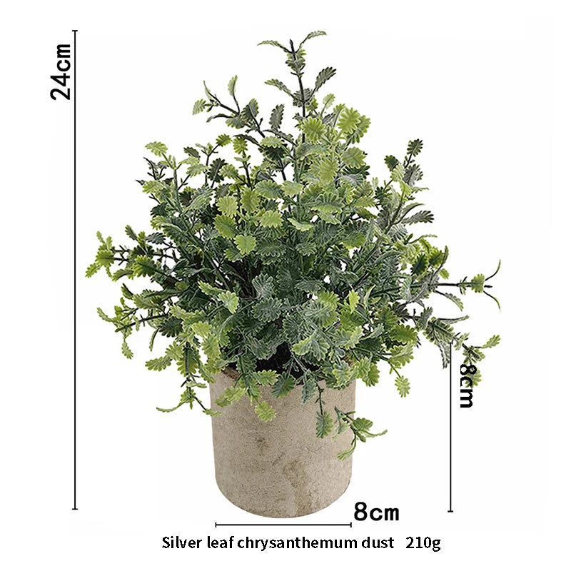 Eucalyptus Mini Planter