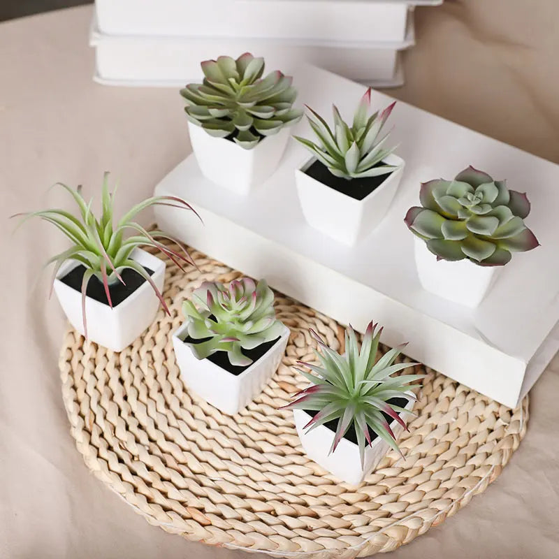Set of 6 Mini Faux Succulents with Pots