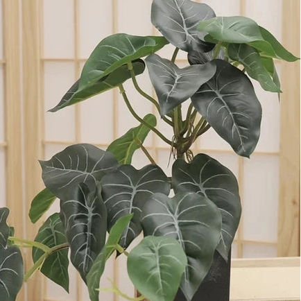 Palm Grove Leaf Display
