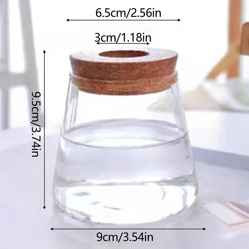 Sleek Transparent Plant Vase