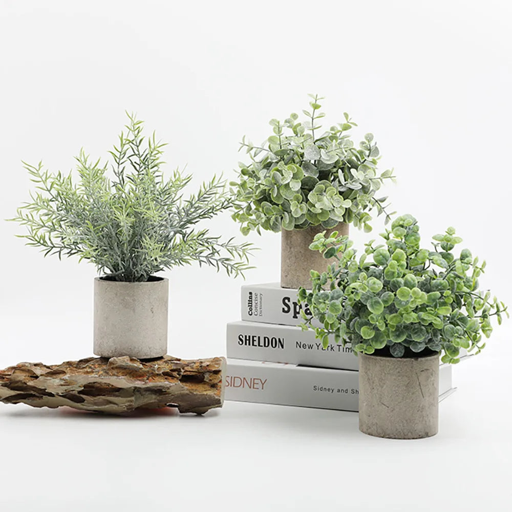 Eucalyptus Mini Planter