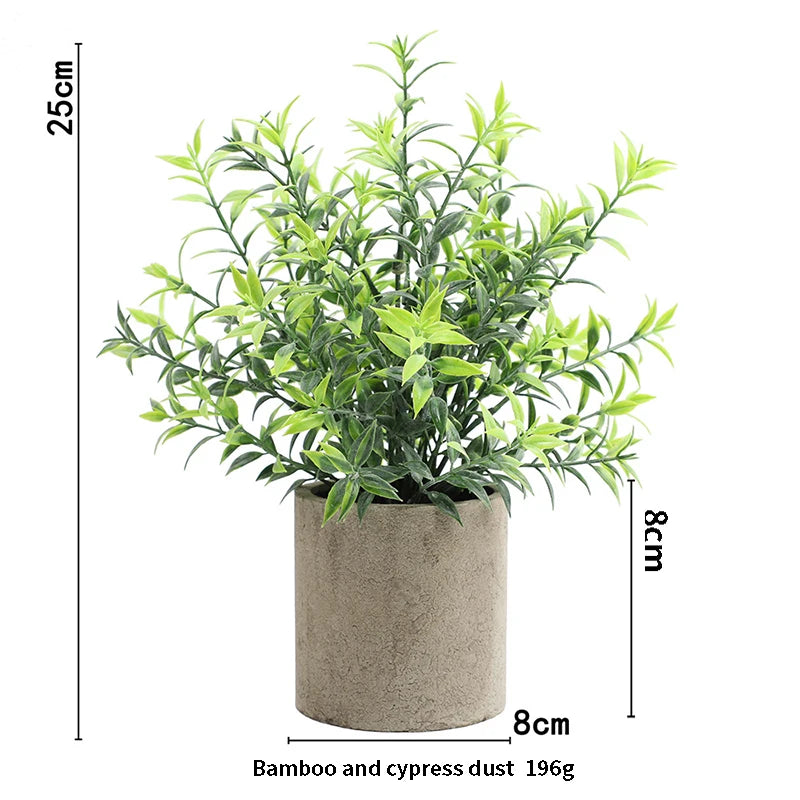 Eucalyptus Mini Planter