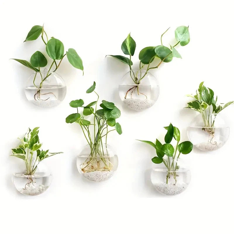 Boho Wall Mounted Terrarium Vase
