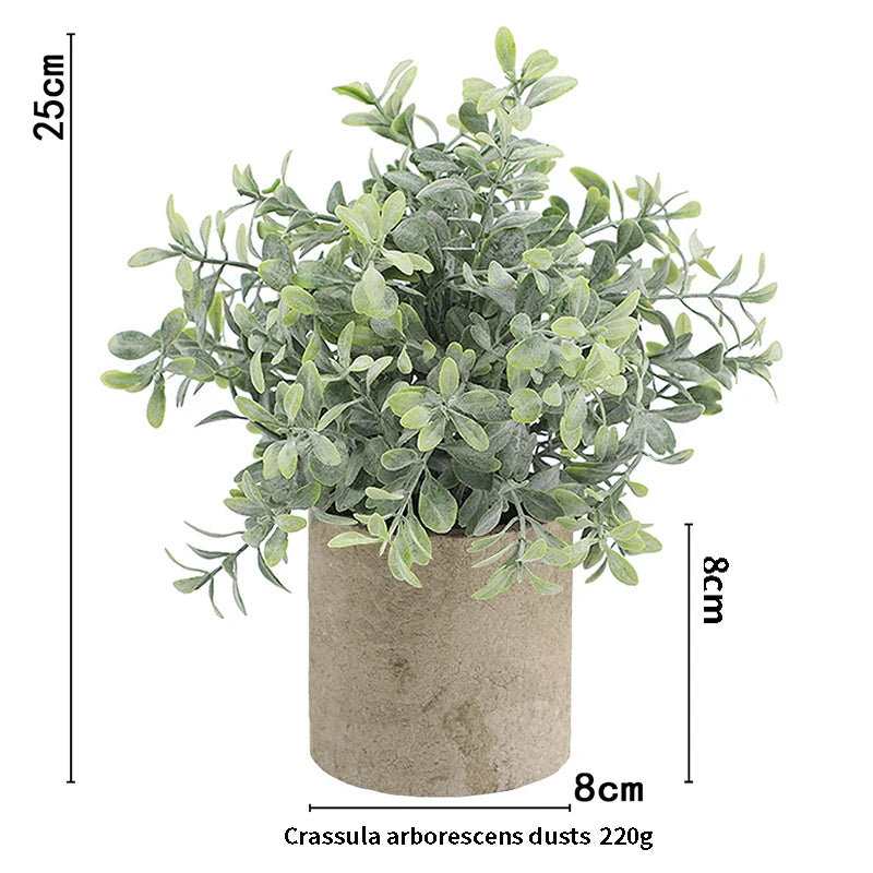 Eucalyptus Mini Planter