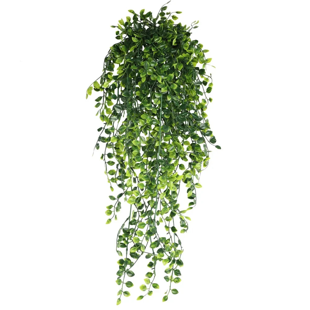 Lush Persian Fern Vine
