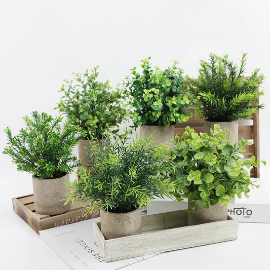 Eucalyptus Mini Planter