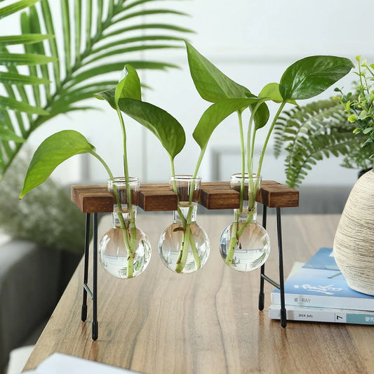 Wooden Frame Glass Bulb Planter Vase