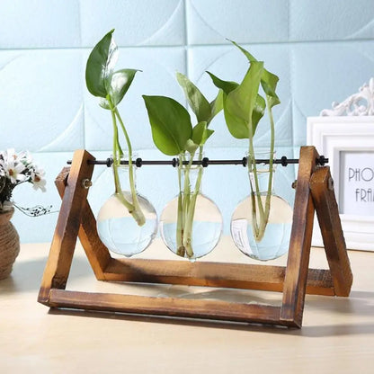 Glass Plant Vase with Natural Wood Stand
