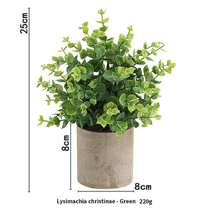 Eucalyptus Mini Planter