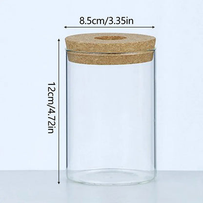 Sleek Transparent Plant Vase