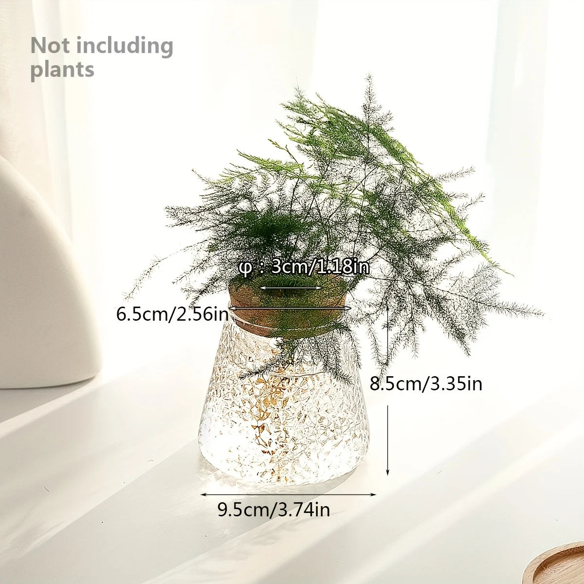Glass Plant Vase