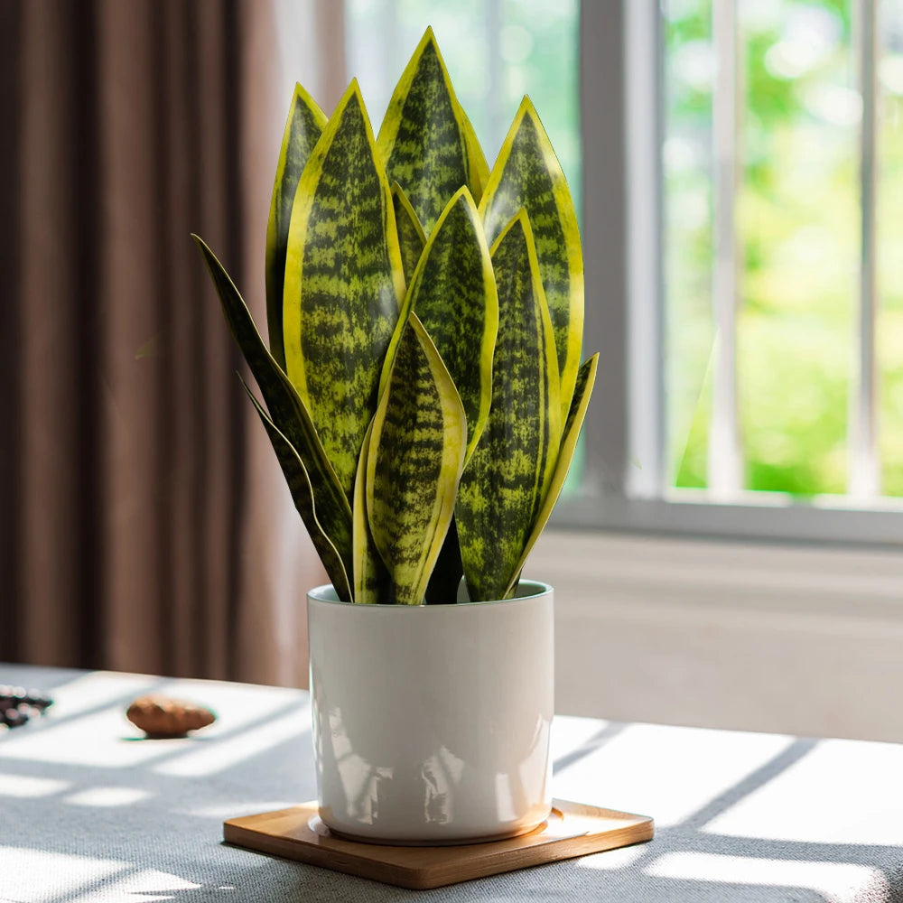 Serene Tiger Leaf Faux Succulent