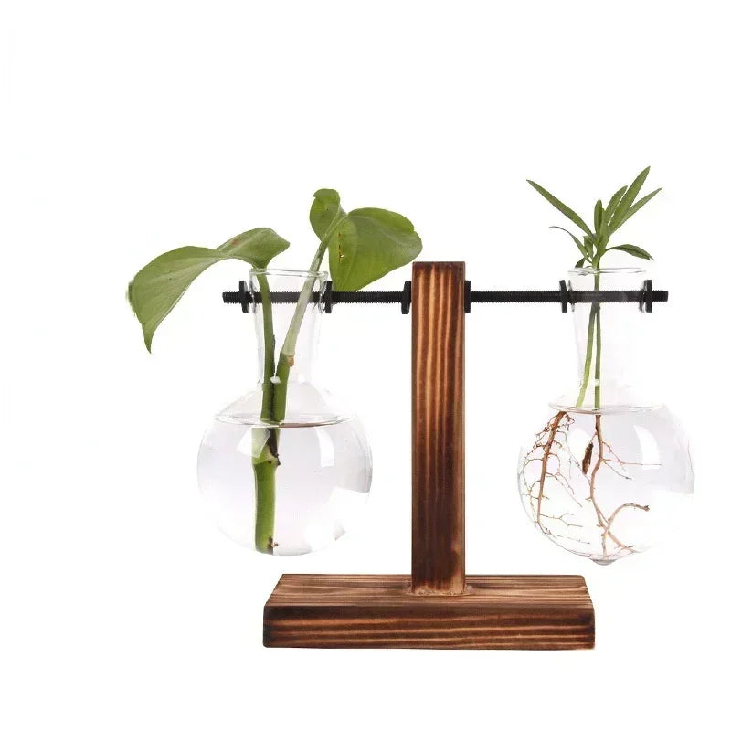 Glass Hydroponic Plant Vase