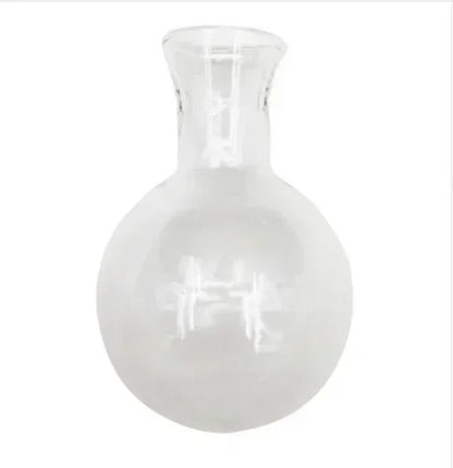 Glass Hydroponic Plant Vase
