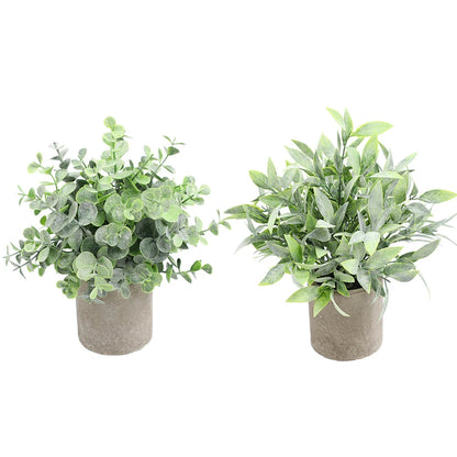 Eucalyptus Mini Planter