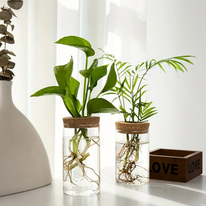 Elegant Glass Vase