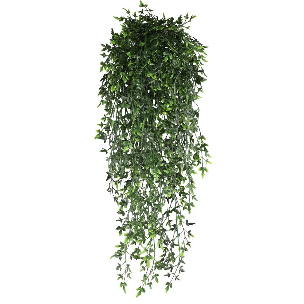 Lush Persian Fern Vine