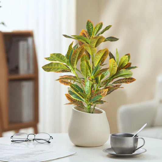 Decorative Banyan Tree Leaves
