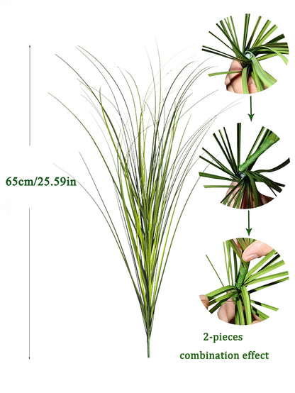 Tropical Grass Plant