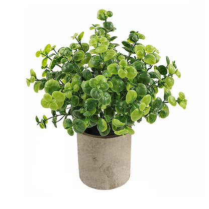 Eucalyptus Mini Planter