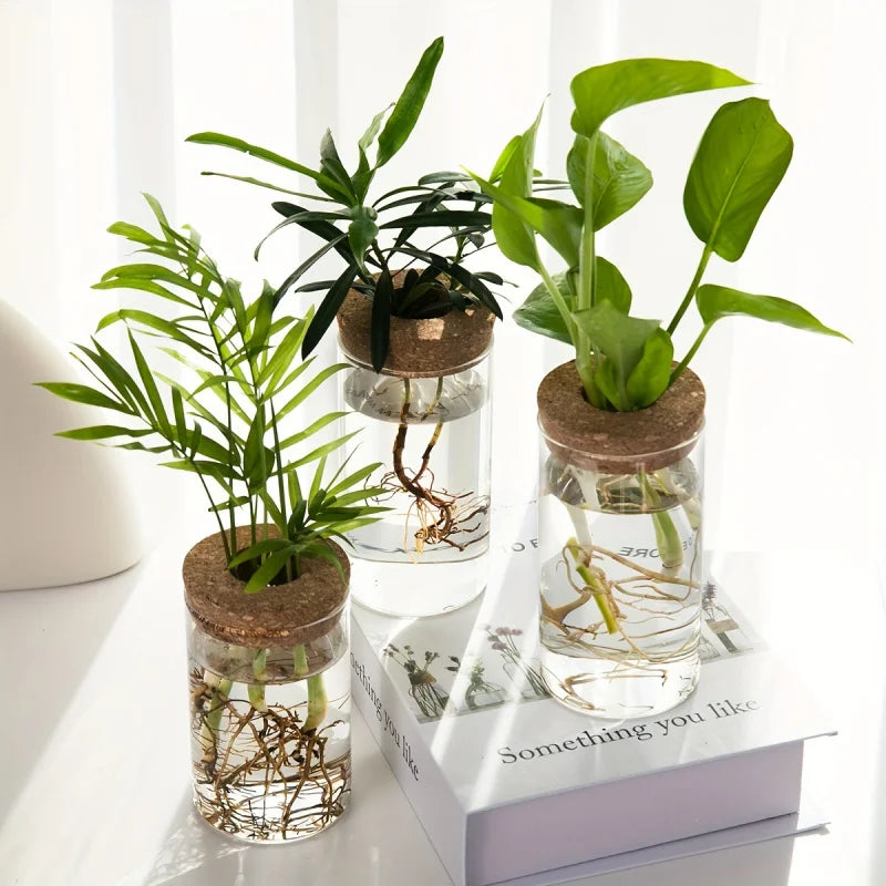Elegant Glass Vase