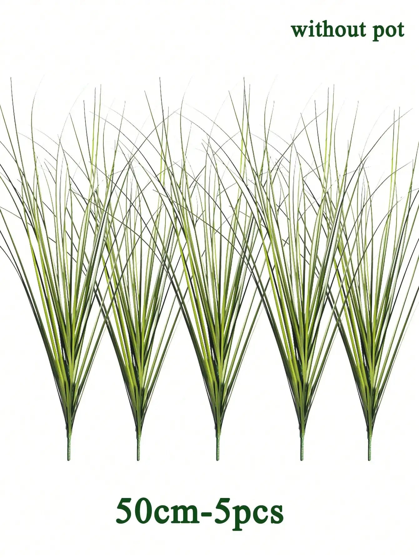 Tropical Grass Plant