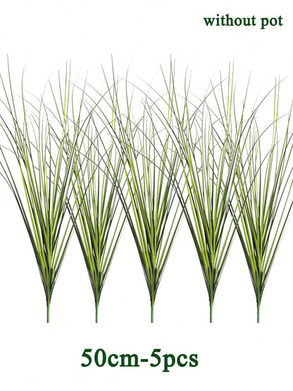 Tropical Grass Plant