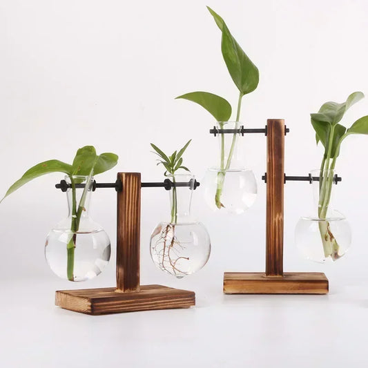 Glass Hydroponic Plant Vase
