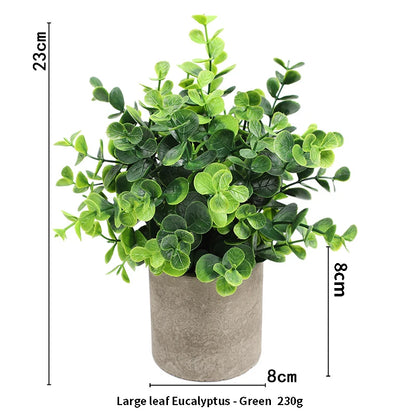 Eucalyptus Mini Planter