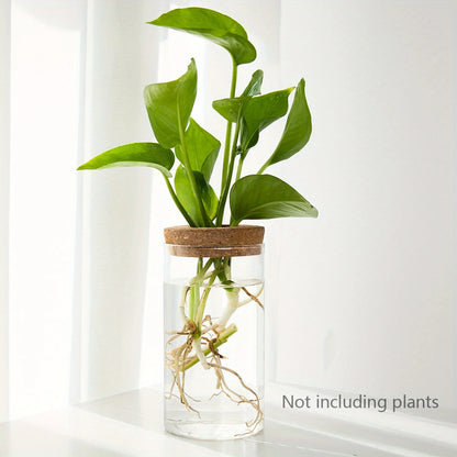 Elegant Glass Vase