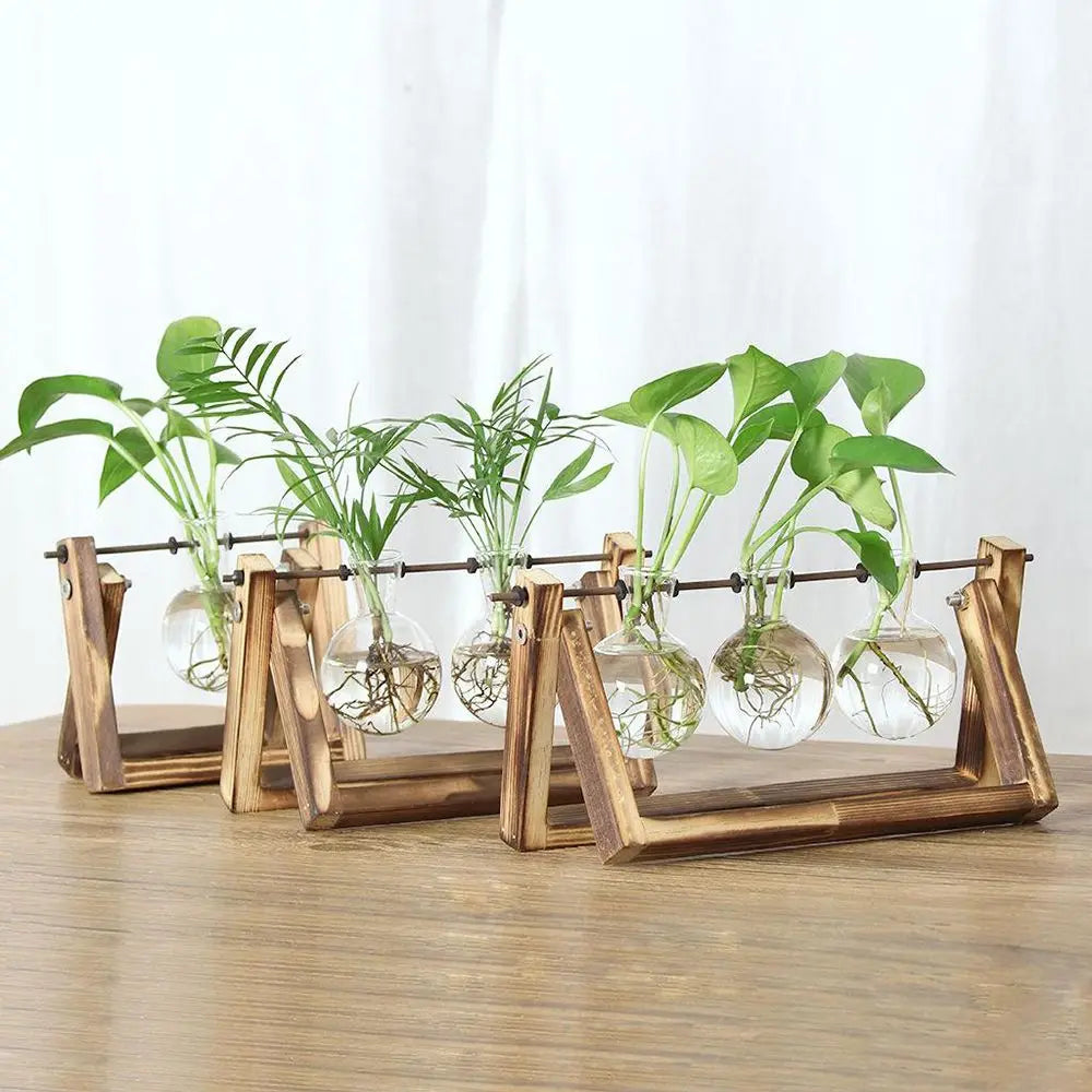 Glass Plant Vase with Natural Wood Stand
