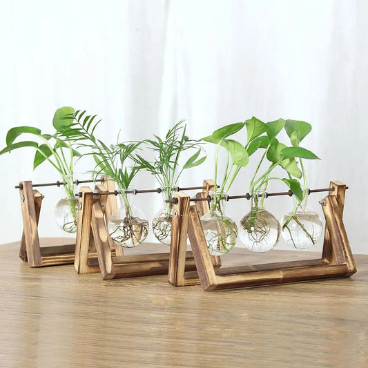 Glass Plant Vase with Natural Wood Stand