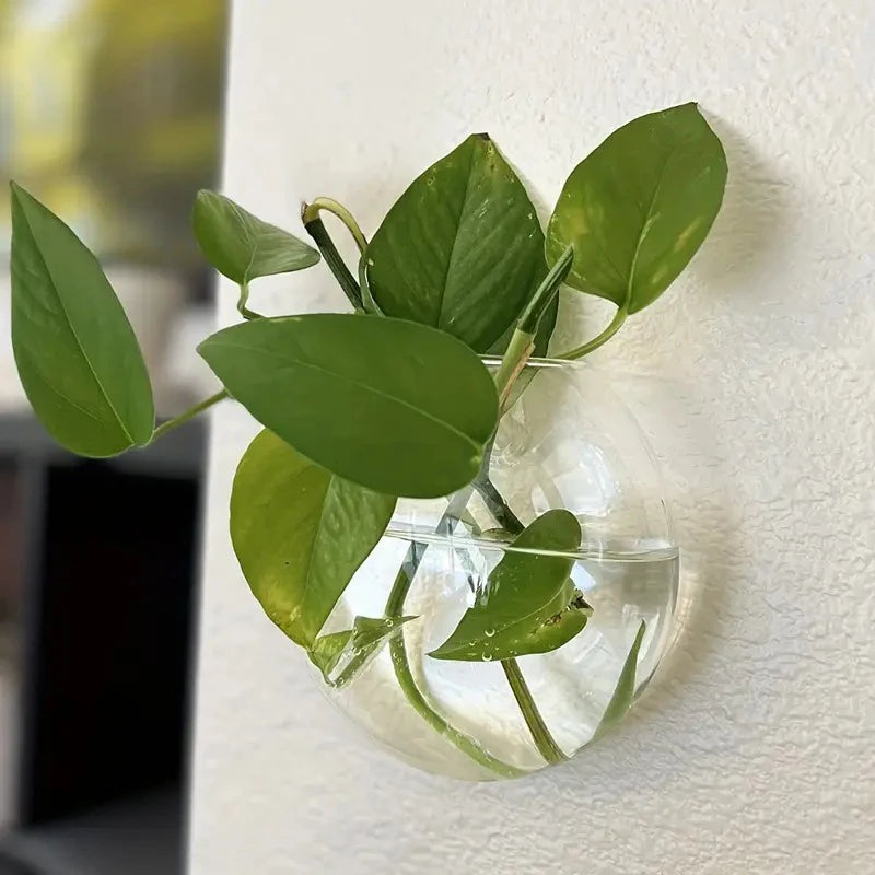 Boho Wall Mounted Terrarium Vase