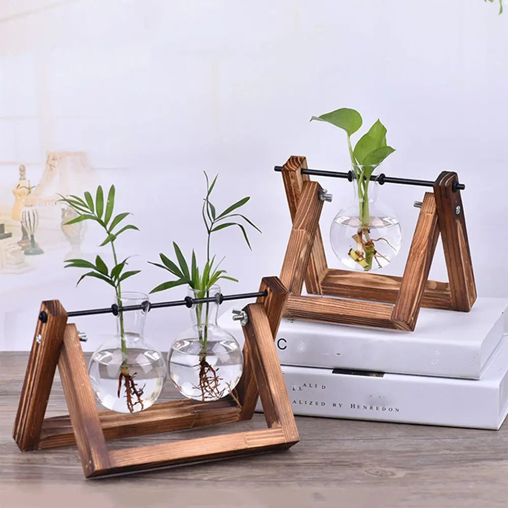 Glass Plant Vase with Natural Wood Stand