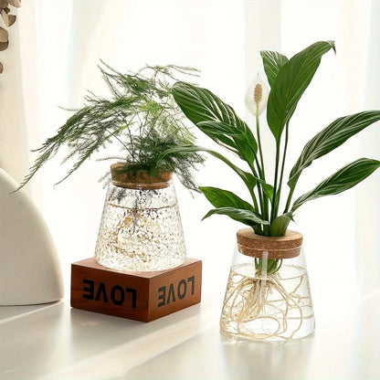 Glass Plant Vase
