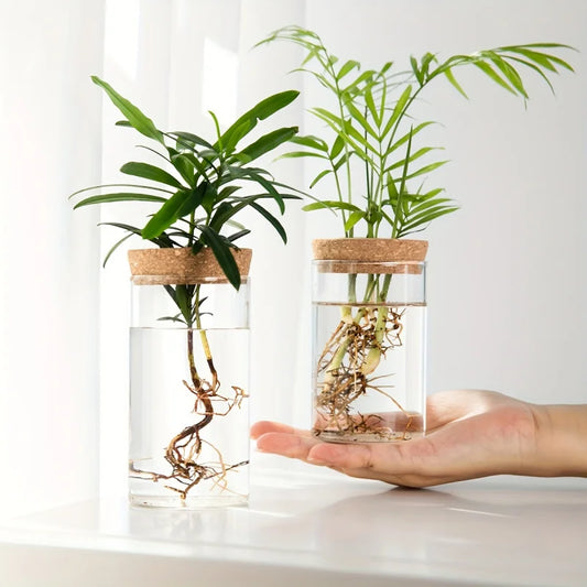 Elegant Glass Vase