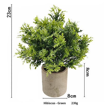 Eucalyptus Mini Planter