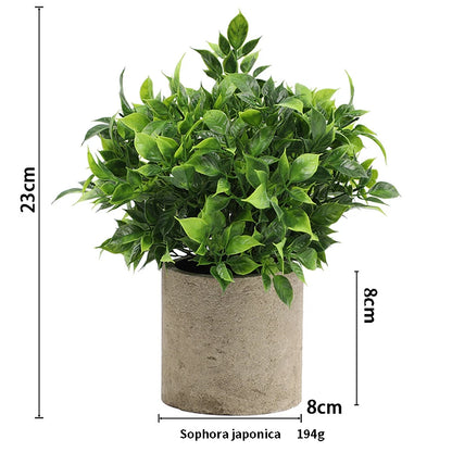 Eucalyptus Mini Planter