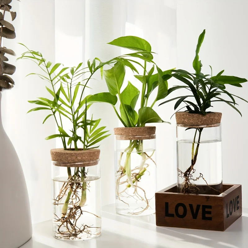 Elegant Glass Vase