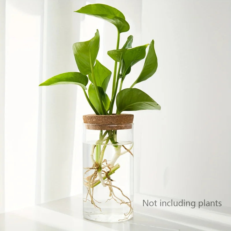 Elegant Glass Vase