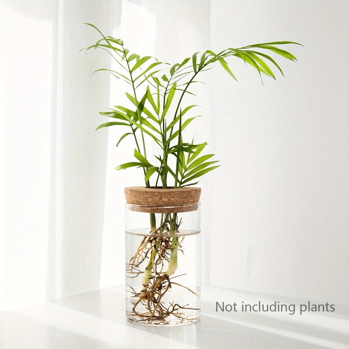 Elegant Glass Vase