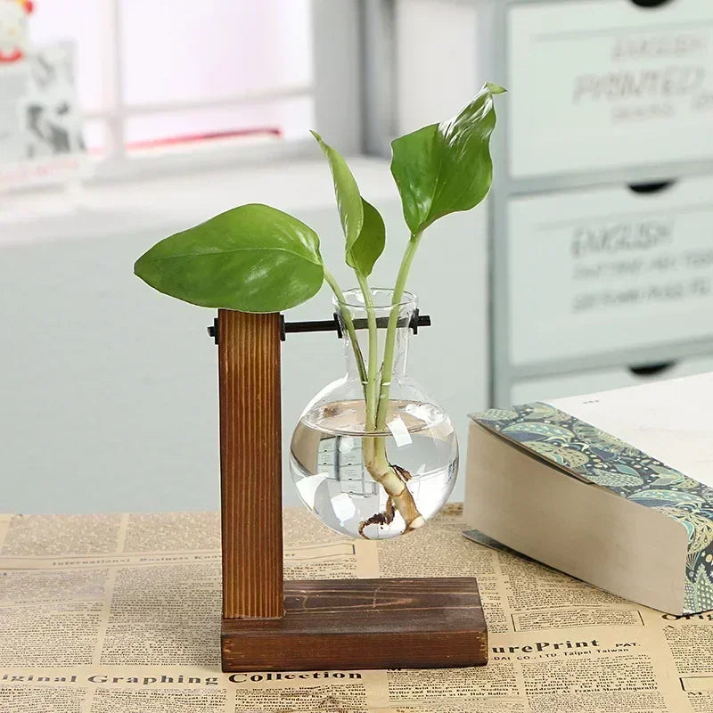Glass Hydroponic Plant Vase