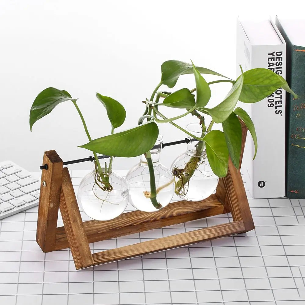 Glass Plant Vase with Natural Wood Stand