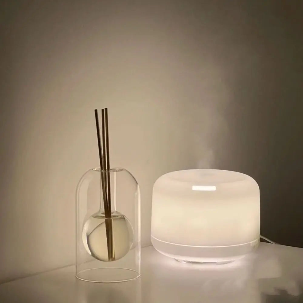 Minimalist Glass Bottle Fragrance Stick Holder