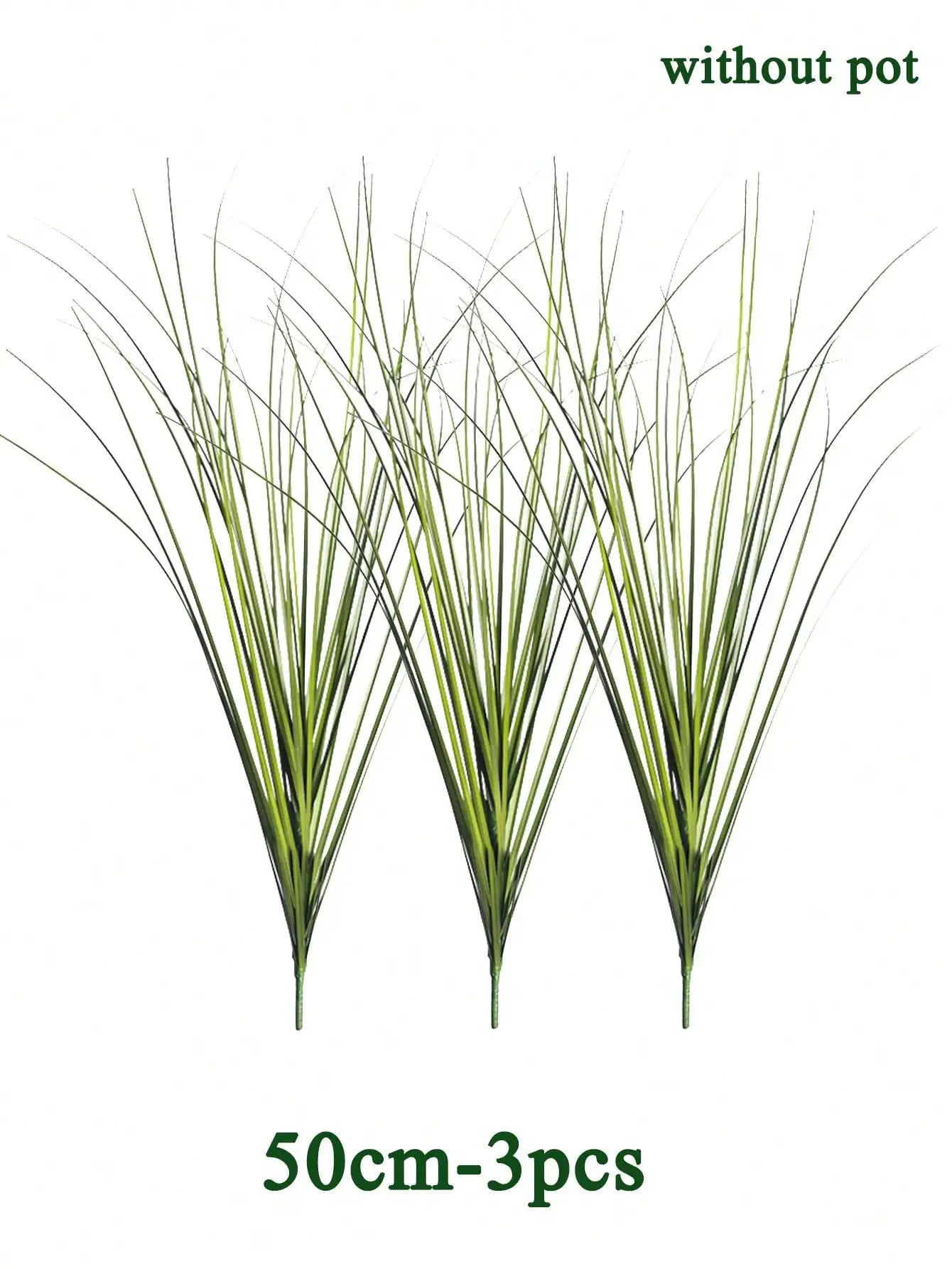 Tropical Grass Plant